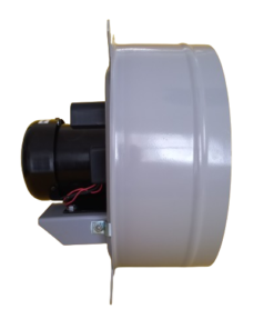 DB-H4 - Imagen 5