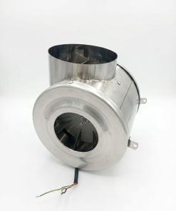 CARACOL GRANDE 6"