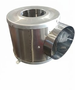 Alternative view of CARACOL GRANDE 6"